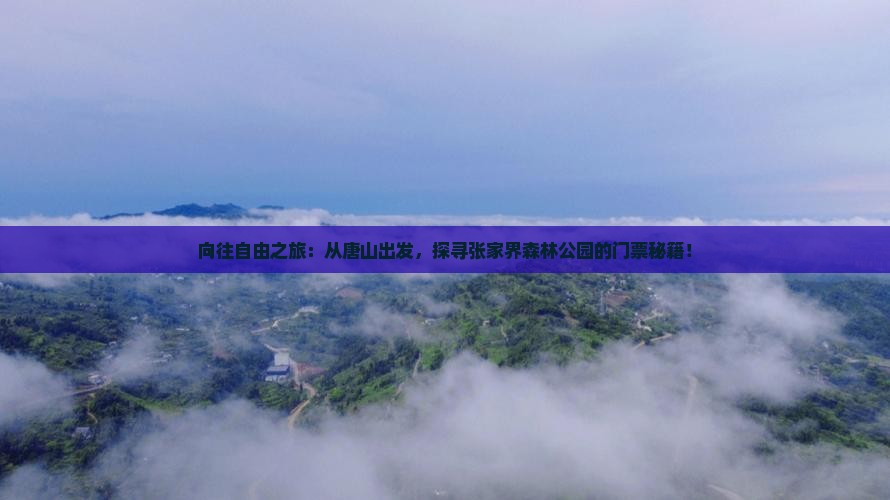 向往自由之旅：从唐山出发，探寻张家界森林公园的门票秘籍！