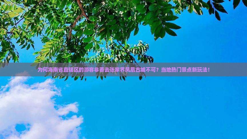 为何海南省直辖区的游客非要去张家界凤凰古城不可？当地热门景点新玩法！