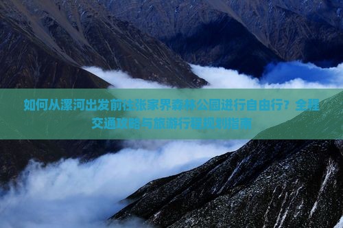 如何从漯河出发前往张家界森林公园进行自由行？全程交通攻略与旅游行程规划指南