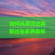 如何从漯河出发前往张家界森林公园进行自由行？全程交通攻略与旅游行程规划指南