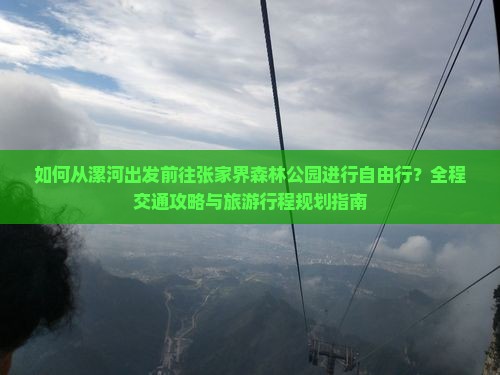 如何从漯河出发前往张家界森林公园进行自由行？全程交通攻略与旅游行程规划指南