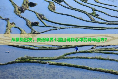 从襄樊出发，去张家界七星山寻找心中的诗与远方？