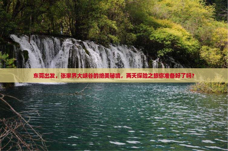 东莞出发，张家界大峡谷的绝美秘境，两天探险之旅你准备好了吗？