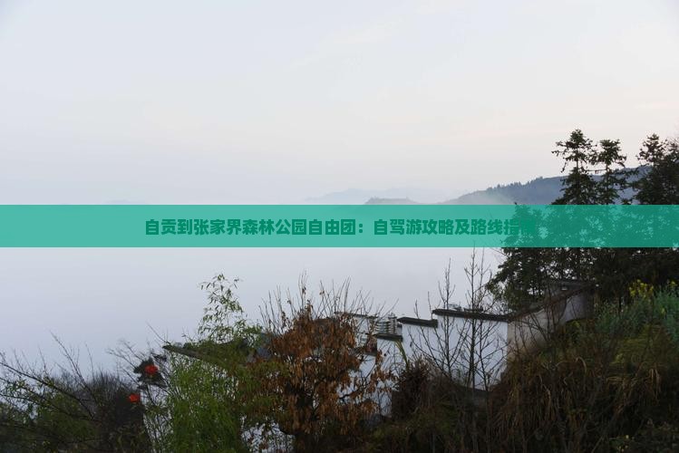 自贡到张家界森林公园自由团：自驾游攻略及路线指南