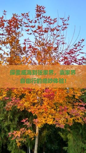 探索威海到张家界，袁家界自由行的绝妙体验！
