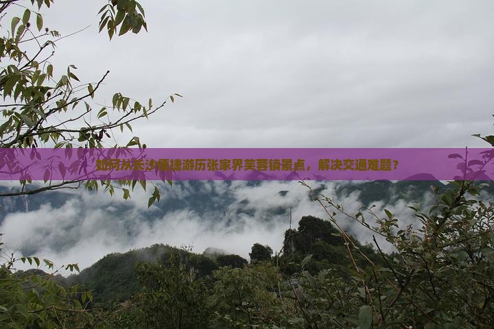 如何从长沙便捷游历张家界芙蓉镇景点，解决交通难题？