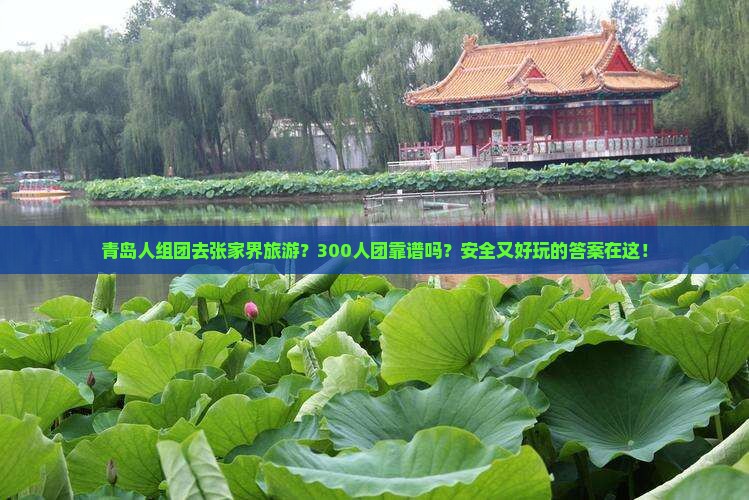 青岛人组团去张家界旅游？300人团靠谱吗？安全又好玩的答案在这！