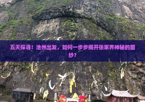 五天探寻！池州出发，如何一步步揭开张家界神秘的面纱？