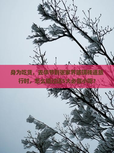 身为吃货，去毕节到张家界玻璃栈道旅行时，怎么错过这5大必尝小吃？