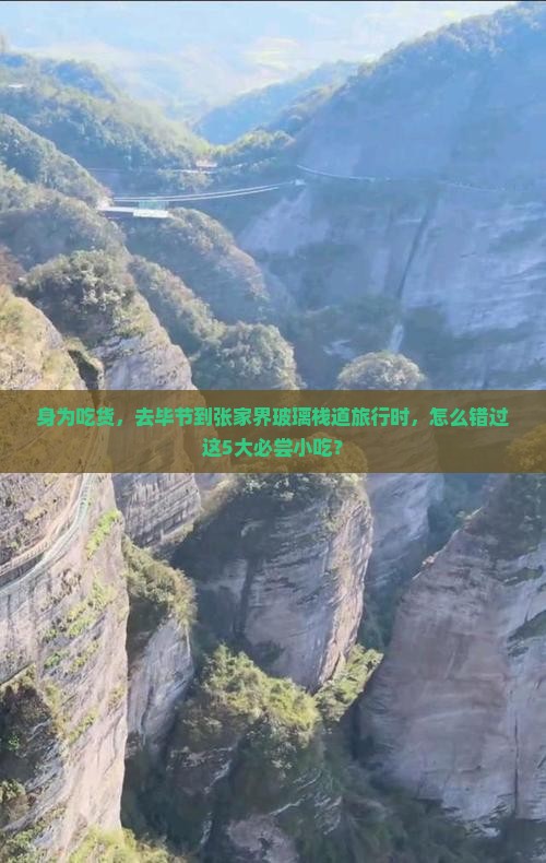身为吃货，去毕节到张家界玻璃栈道旅行时，怎么错过这5大必尝小吃？