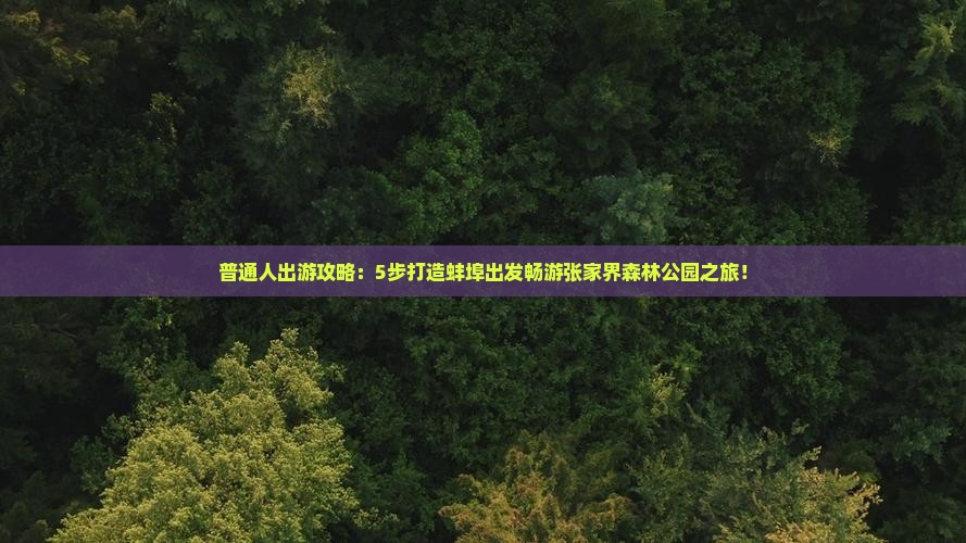 普通人出游攻略：5步打造蚌埠出发畅游张家界森林公园之旅！