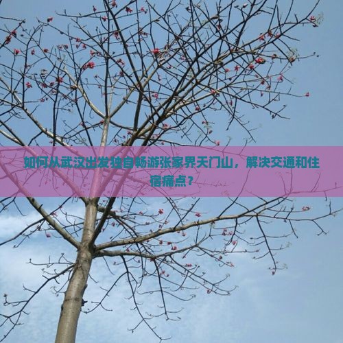 如何从武汉出发独自畅游张家界天门山，解决交通和住宿痛点？