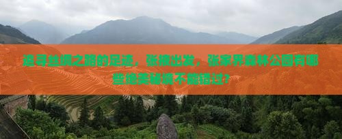 追寻丝绸之路的足迹，张掖出发，张家界森林公园有哪些绝美秘境不能错过？