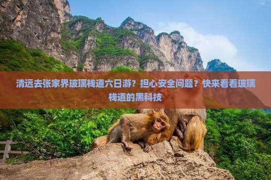 清远去张家界玻璃栈道六日游？担心安全问题？快来看看玻璃栈道的黑科技