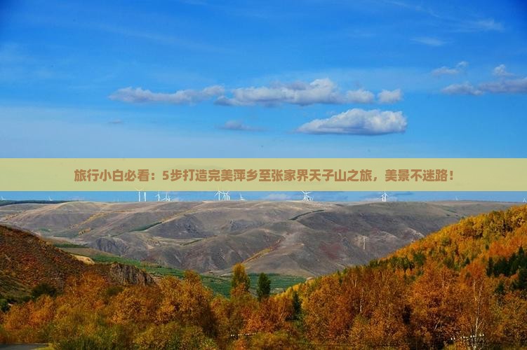 旅行小白必看：5步打造完美萍乡至张家界天子山之旅，美景不迷路！