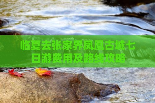 临夏去张家界凤凰古城七日游费用及路线攻略