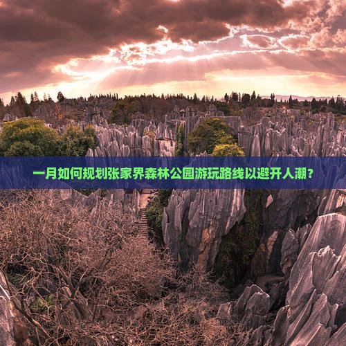 一月如何规划张家界森林公园游玩路线以避开人潮？