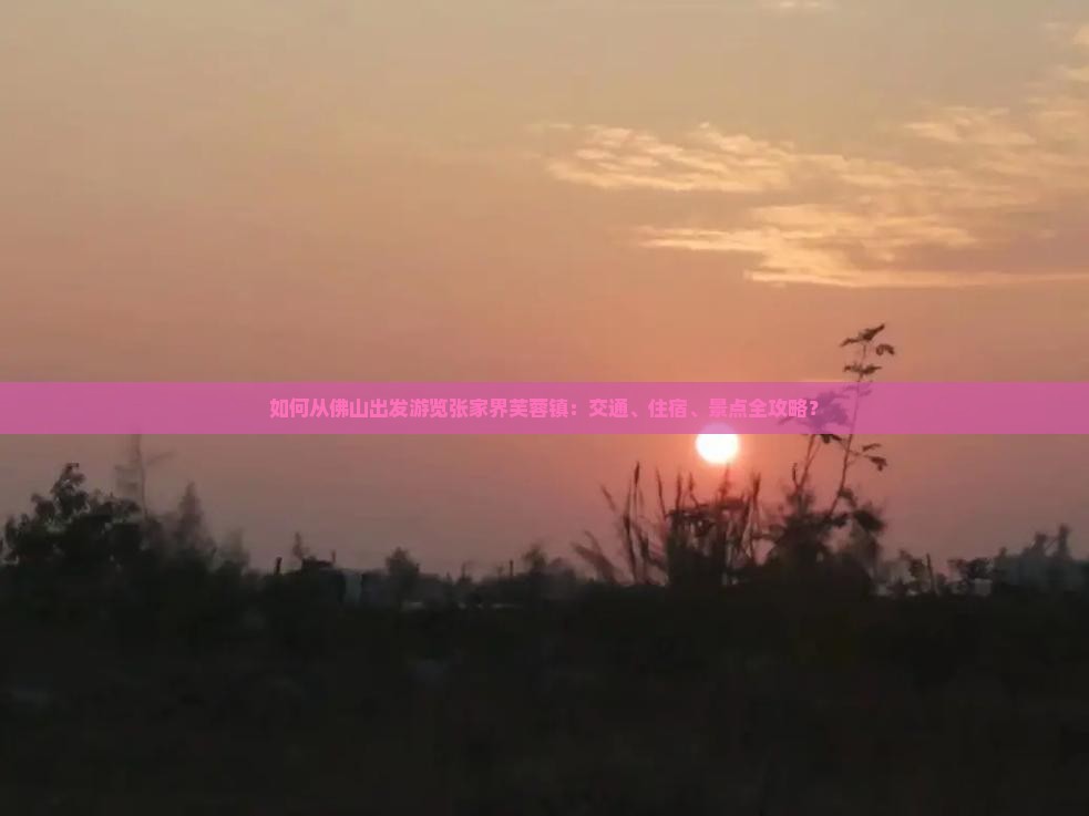 如何从佛山出发游览张家界芙蓉镇：交通、住宿、景点全攻略？