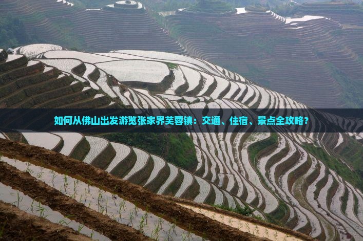 如何从佛山出发游览张家界芙蓉镇：交通、住宿、景点全攻略？