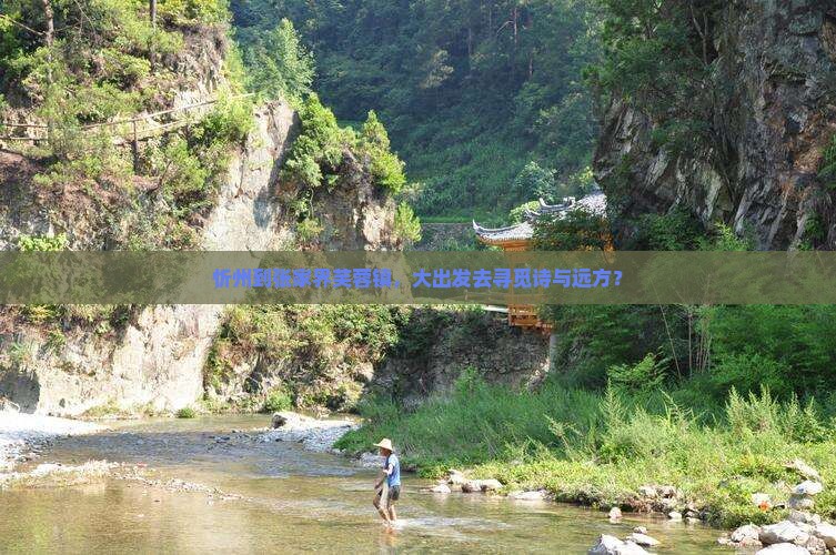 忻州到张家界芙蓉镇，大出发去寻觅诗与远方？