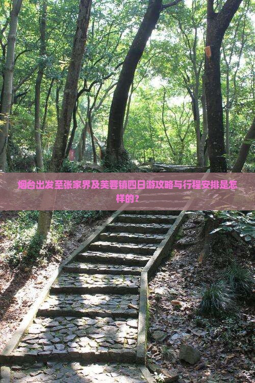 烟台出发至张家界及芙蓉镇四日游攻略与行程安排是怎样的？