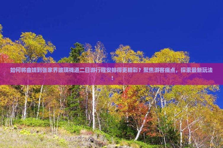 如何将曲靖到张家界玻璃栈道二日游行程安排得更精彩？聚焦游客痛点，探索最新玩法！