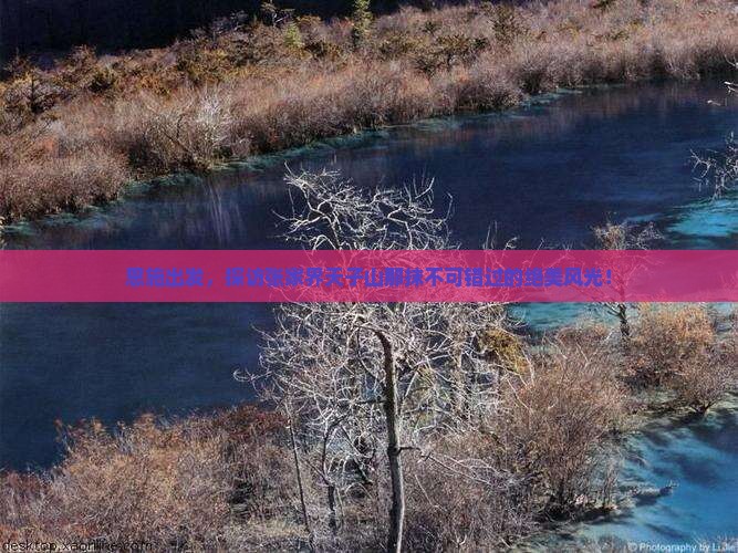 恩施出发，探访张家界天子山那抹不可错过的绝美风光！