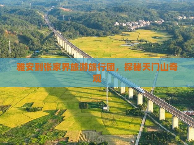 雅安到张家界旅游旅行团，探秘天门山奇观
