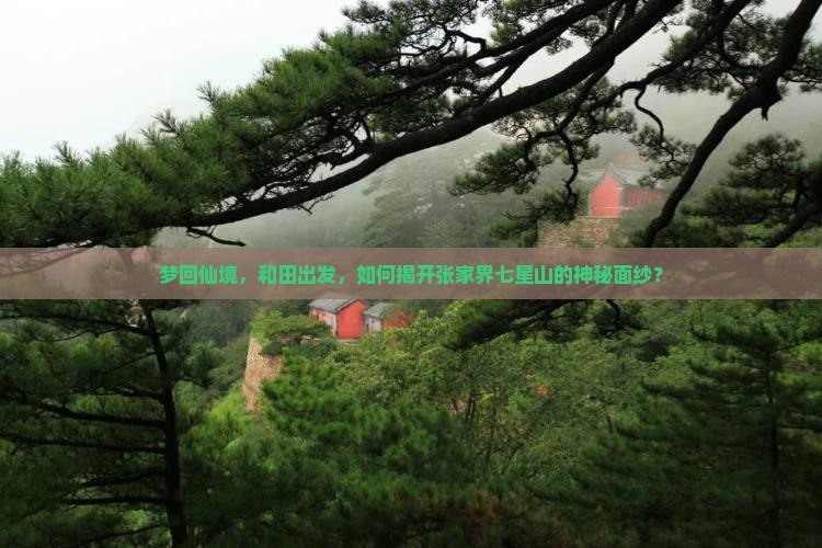梦回仙境，和田出发，如何揭开张家界七星山的神秘面纱？