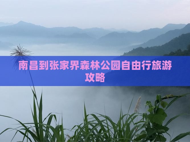 南昌到张家界森林公园自由行旅游攻略