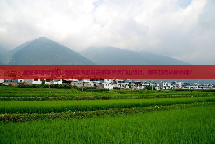 我是本地大学生，想问本溪出发去张家界天门山旅行，哪家旅行社最靠谱？