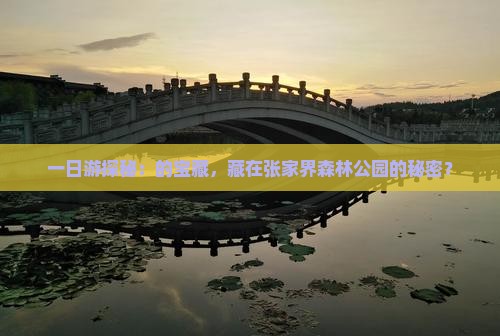 一日游探秘：的宝藏，藏在张家界森林公园的秘密？