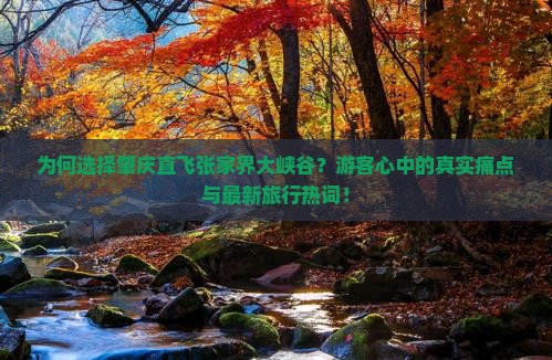 为何选择肇庆直飞张家界大峡谷？游客心中的真实痛点与最新旅行热词！