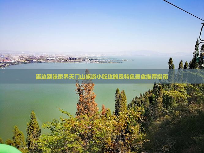 延边到张家界天门山旅游小吃攻略及特色美食推荐指南