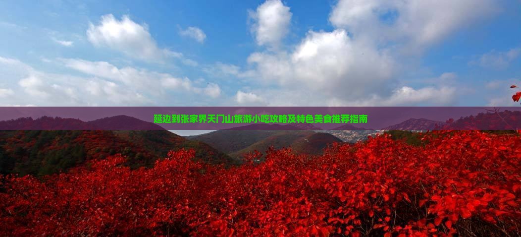 延边到张家界天门山旅游小吃攻略及特色美食推荐指南