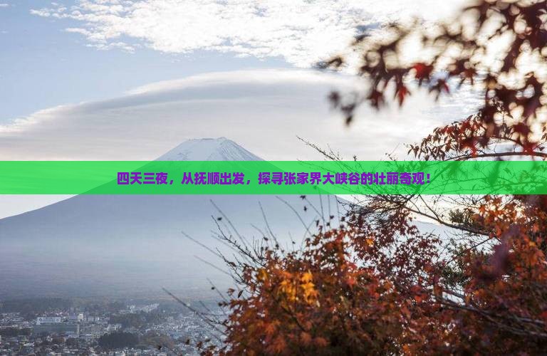 四天三夜，从抚顺出发，探寻张家界大峡谷的壮丽奇观！