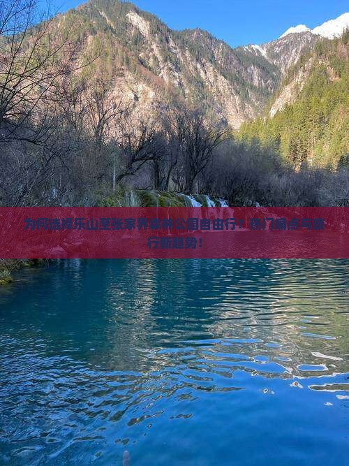 为何选择乐山至张家界森林公园自由行？热门痛点与旅行新趋势！