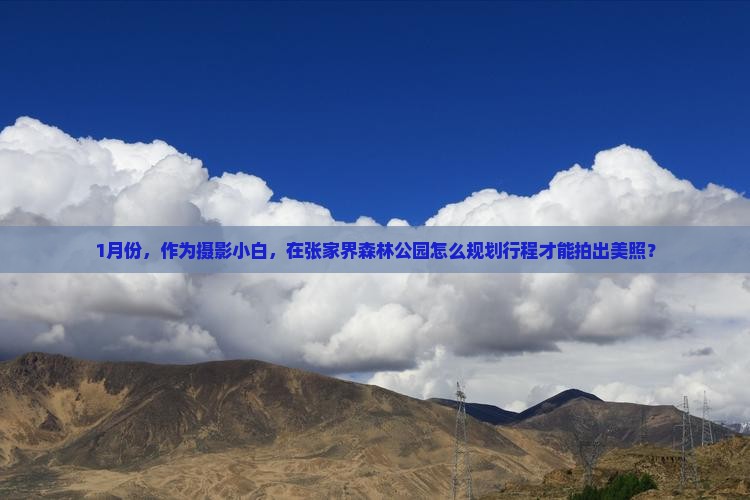 1月份，作为摄影小白，在张家界森林公园怎么规划行程才能拍出美照？