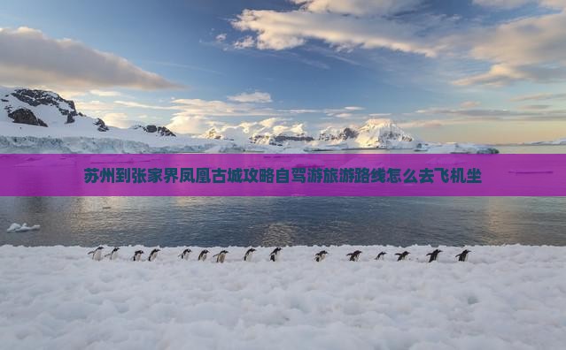 苏州到张家界凤凰古城攻略自驾游旅游路线怎么去飞机坐