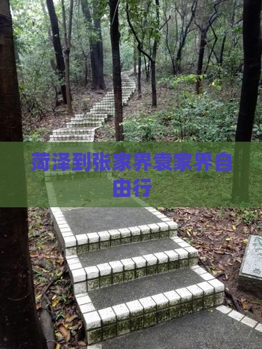 菏泽到张家界袁家界自由行