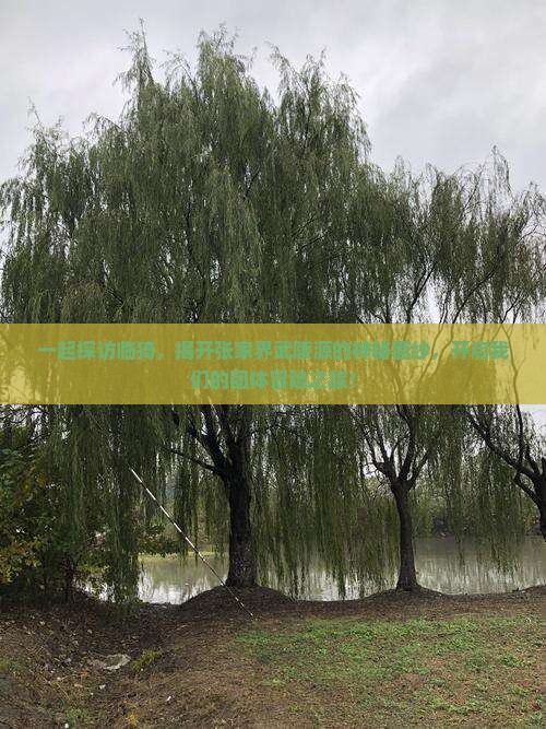 一起探访临猗，揭开张家界武陵源的神秘面纱，开启我们的团体冒险之旅！