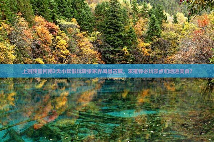 上班族如何用3天小长假玩转张家界凤凰古城，求推荐必玩景点和地道美食？