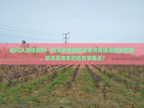 如何从酒泉策划一场高效便捷的张家界武陵源团体旅游，解决高成本和低效率痛点？