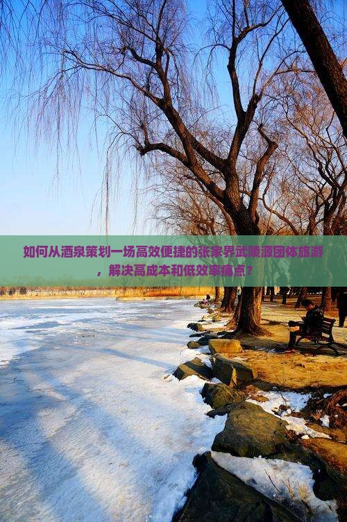 如何从酒泉策划一场高效便捷的张家界武陵源团体旅游，解决高成本和低效率痛点？