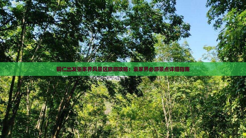 铜仁出发张家界风景区旅游攻略：袁家界必游景点详细指南