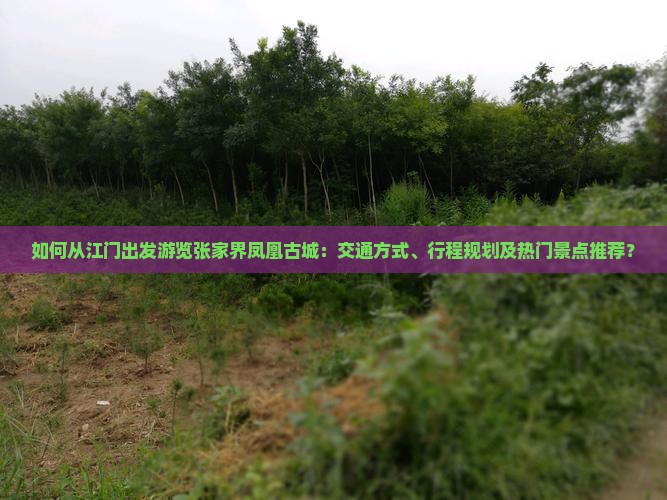 如何从江门出发游览张家界凤凰古城：交通方式、行程规划及热门景点推荐？