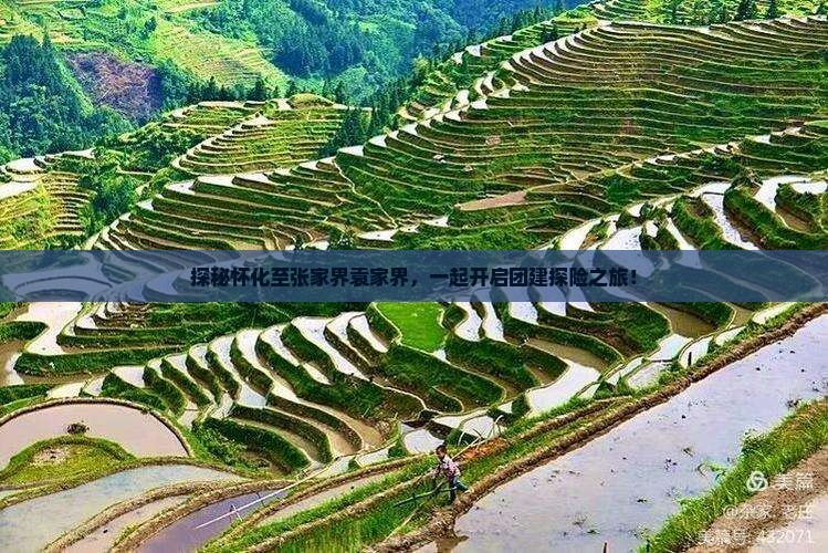 探秘怀化至张家界袁家界，一起开启团建探险之旅！