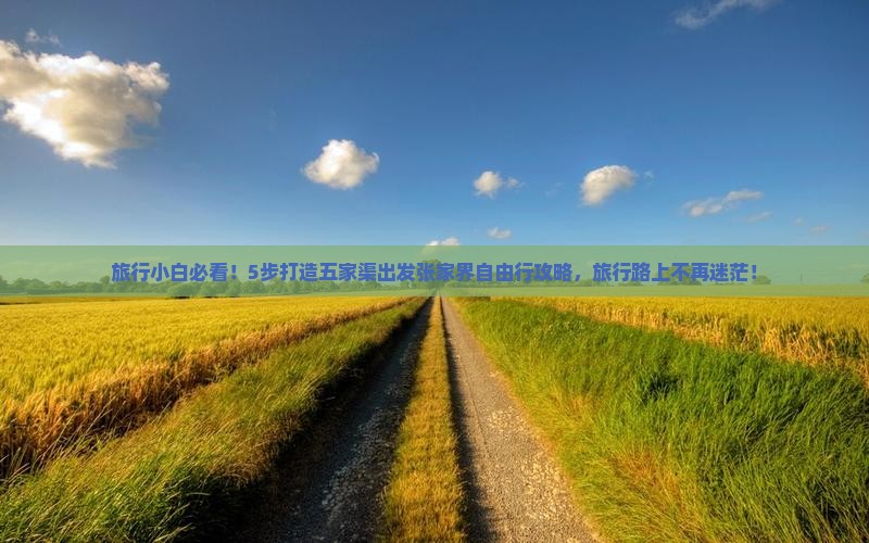 旅行小白必看！5步打造五家渠出发张家界自由行攻略，旅行路上不再迷茫！