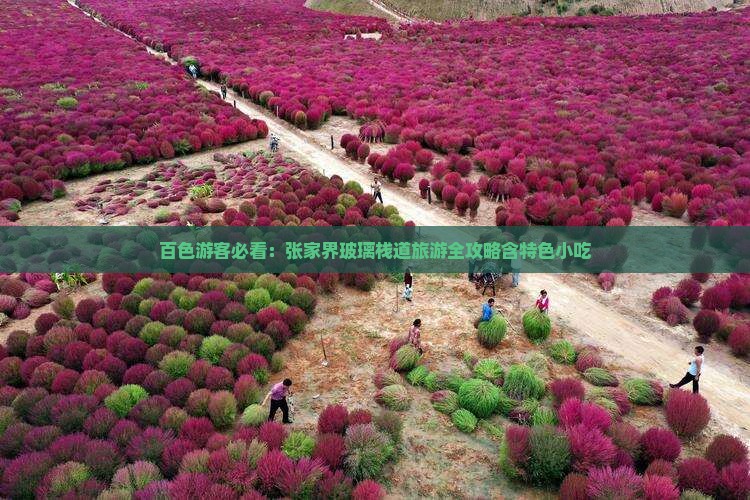 百色游客必看：张家界玻璃栈道旅游全攻略含特色小吃