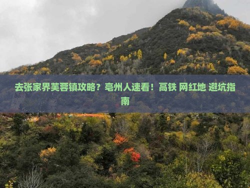去张家界芙蓉镇攻略？亳州人速看！高铁+网红地+避坑指南